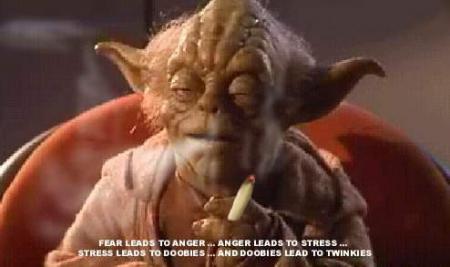 Yoda pris en flag'